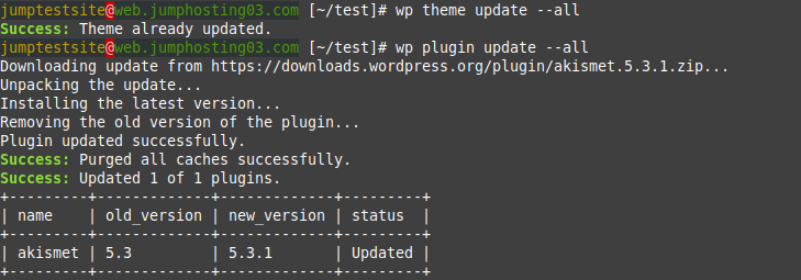 да обновим темите и приставките с командите wp theme update --all и wp plugin update --all.
