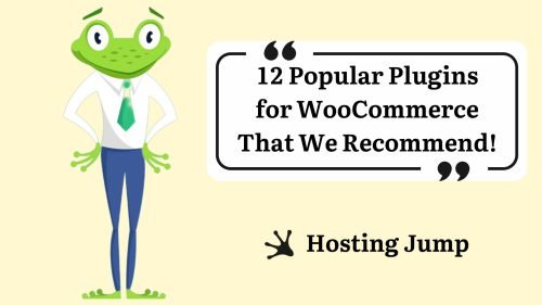 12 Popular Plugins for WooCommerce That We Recommend!