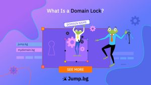 What Is a Domain Lock