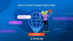 How to Check Domain Expiry Date